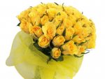 1397636639-1-Yellow-Rose-2.jpg