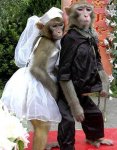 Funny-Monkey-Couple+Romeo+and+Juliet.jpg